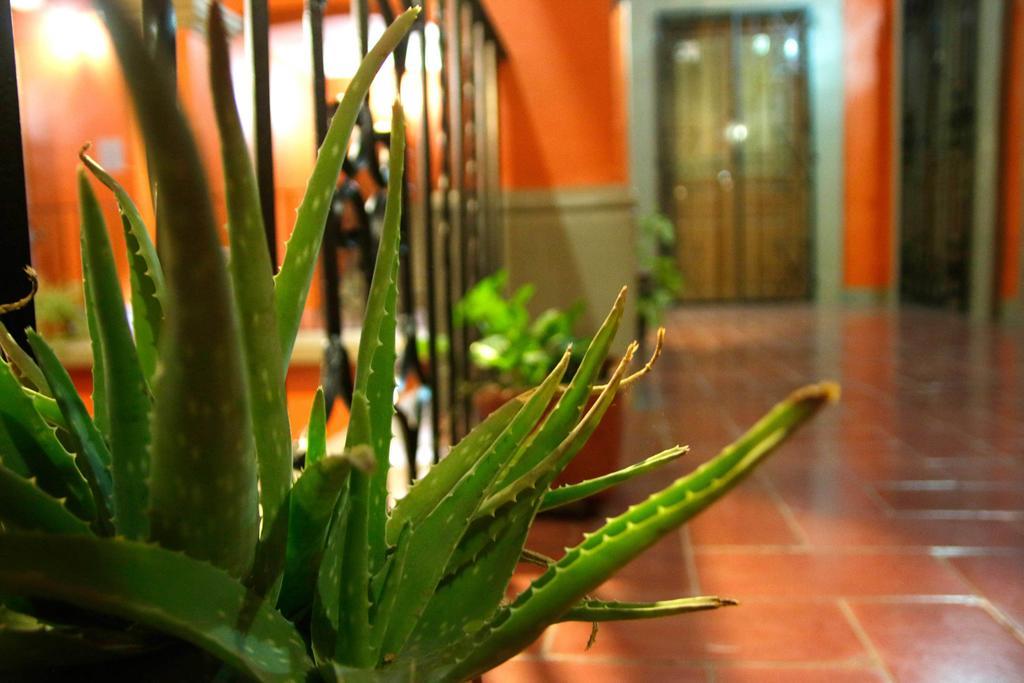 Parador San Fernando Oaxaca Exteriér fotografie